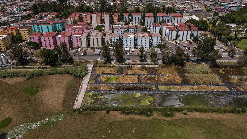 En el abandono, humedal de Cuautepec en GAM